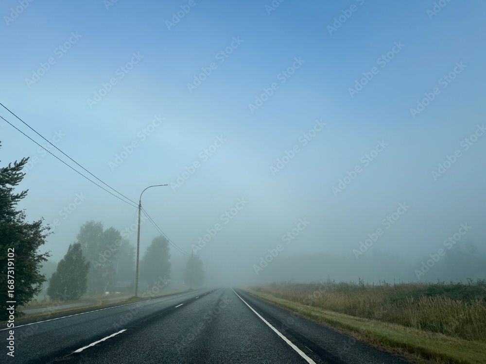 Fototapeta premium road in the fog