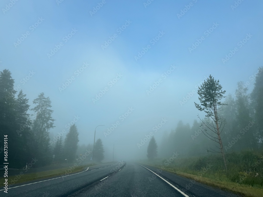 Fototapeta premium road in the fog