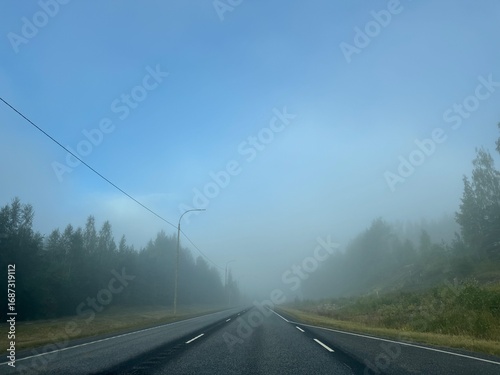 road in the fog
