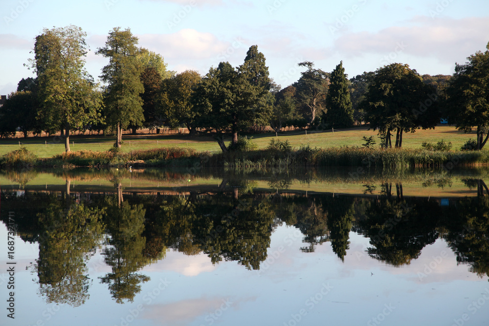 Fototapeta premium Early morning refections across Gosfield Lake, Gosfield, Essex, UK