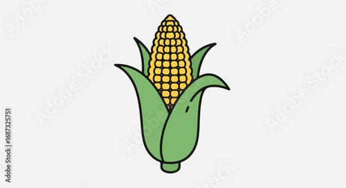 Fresh corn on white background showing detailed yellow cob with green leaves. Maize concept includes dietary staple and agricultural crop, illustrating a valuable resource.