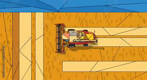Grain harvesting with a combine harvester at work. A grain harvesting season illustration shows a combine at the field.