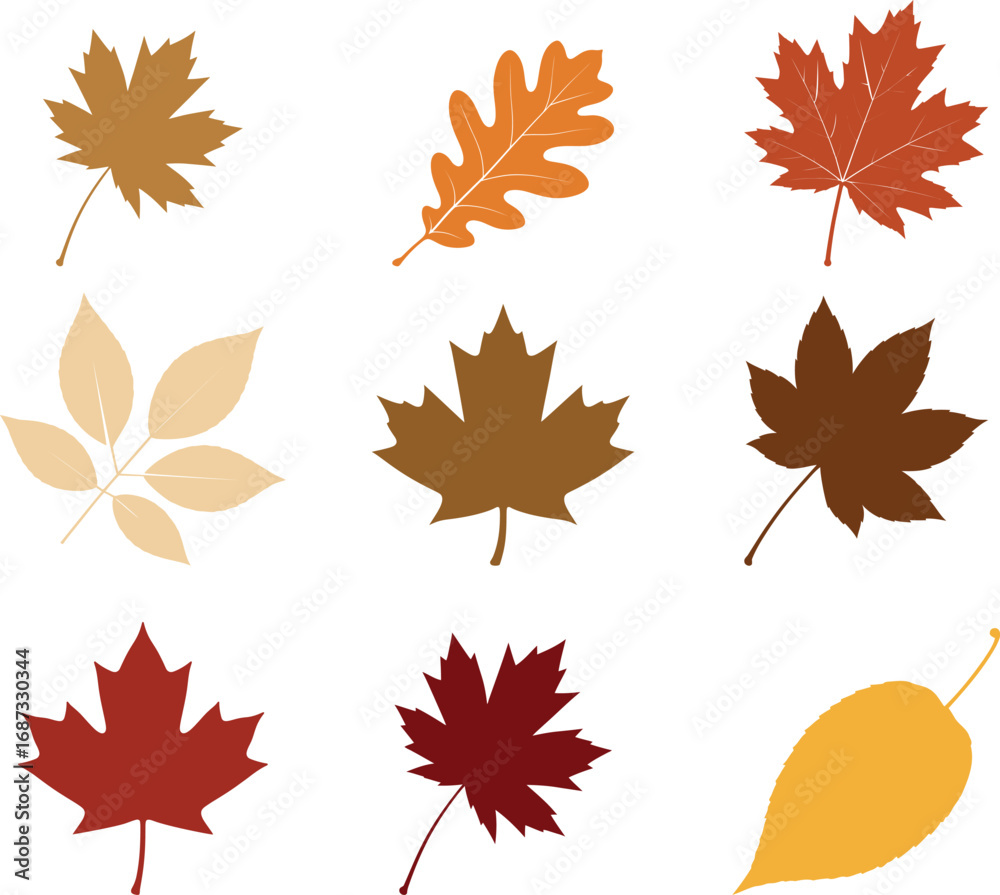Fototapeta premium Assortment of Autumn Leaf Silhouettes in Warm Hues