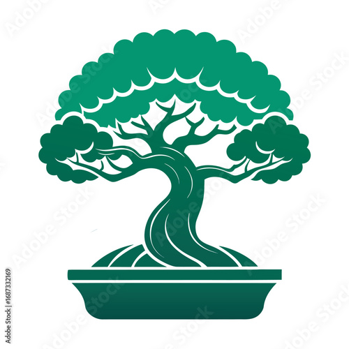 Green Bonsai Tree