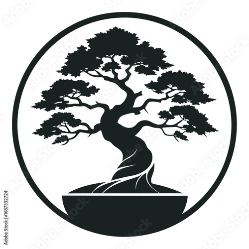 Bonsai Tree
