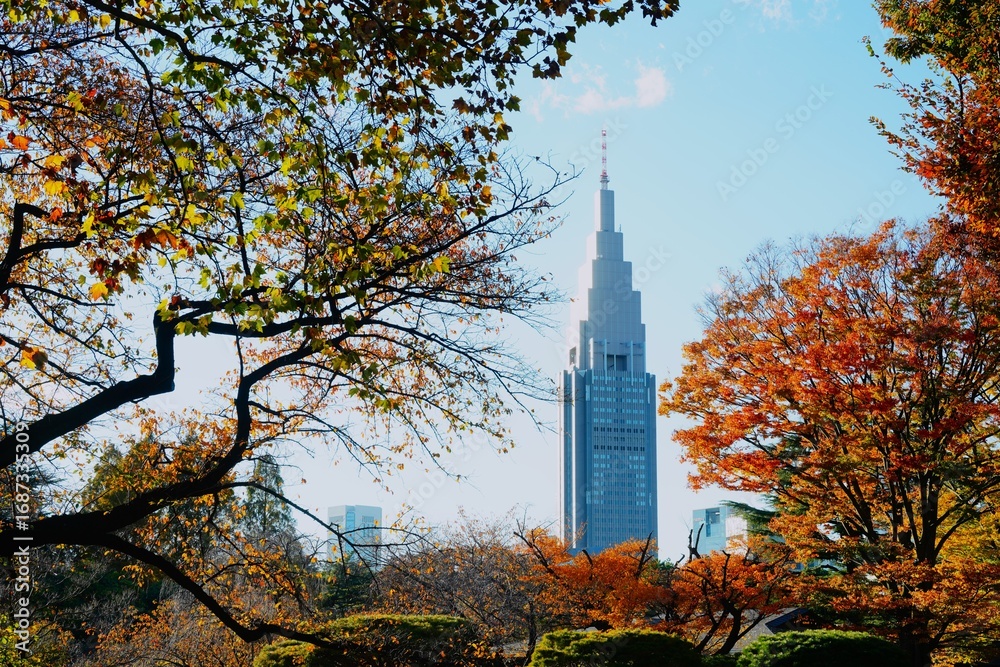 Obraz premium タワーと紅葉の木々