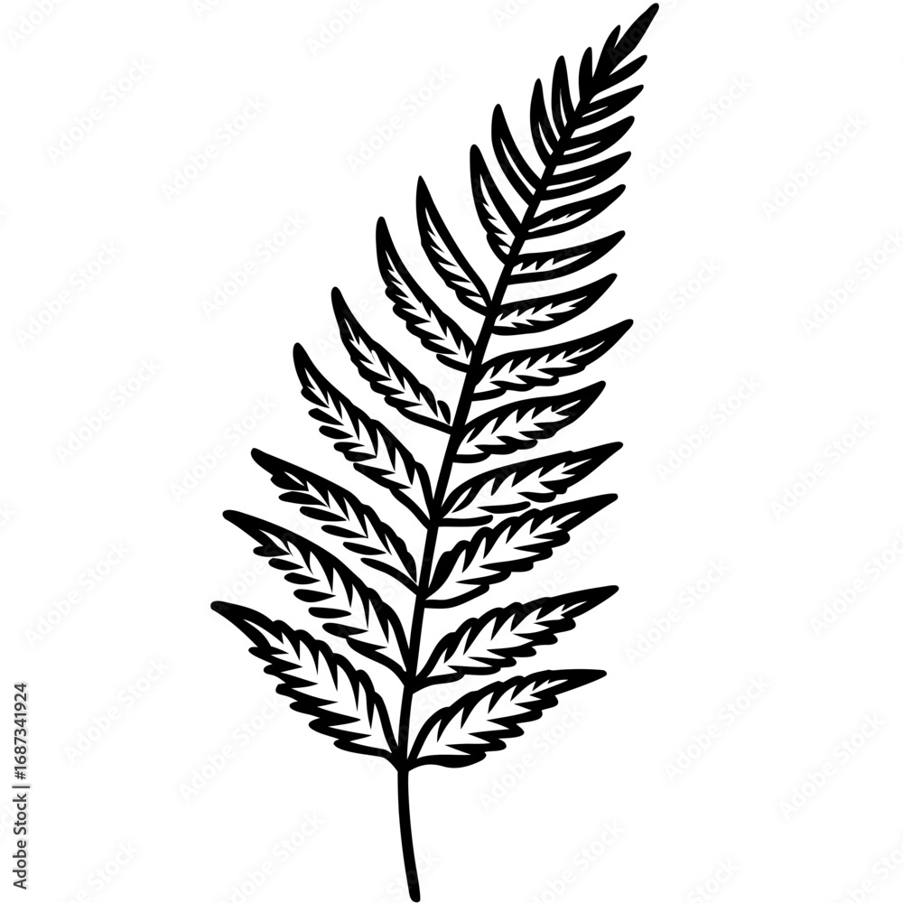 Naklejka premium Elegant Fern Outline Vector Design