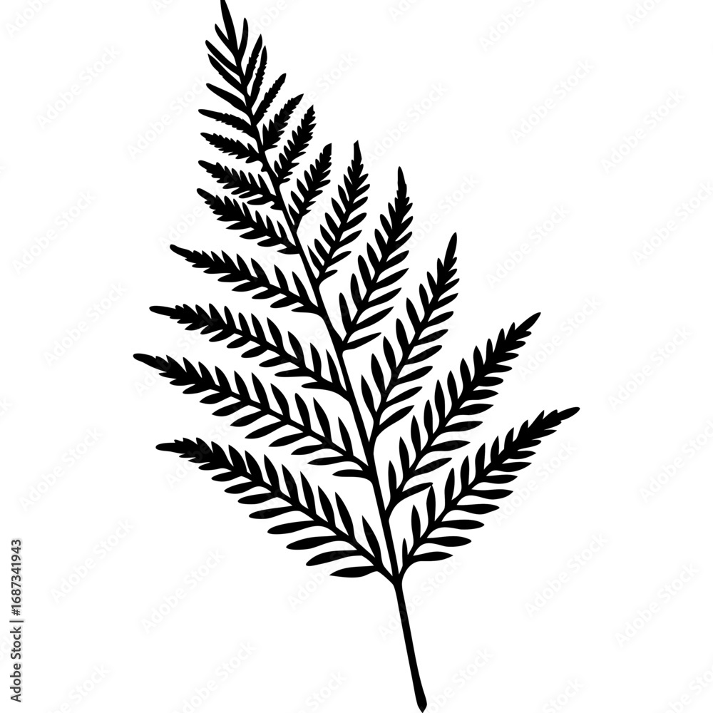 Naklejka premium Elegant Fern Outline Vector Design
