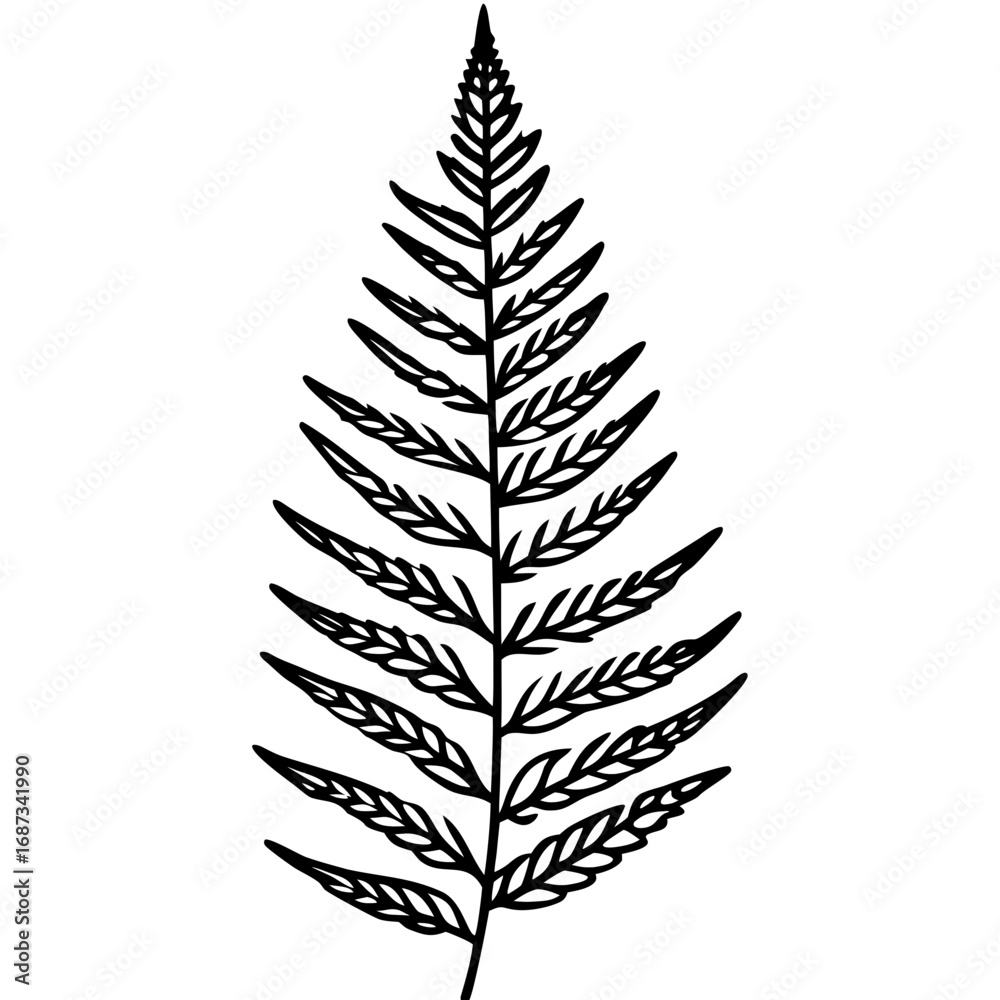 Fototapeta premium Elegant Fern Outline Vector Design
