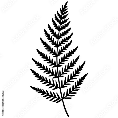 Elegant Fern Outline Vector Design