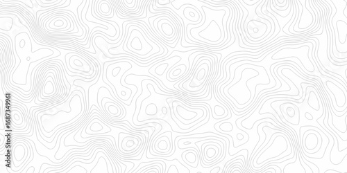 Modern curve abstract topo map design. White background with topographic world grid wave Topographic map geographic line texture.	
