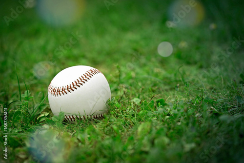 Baseball Ball
