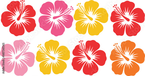 Vibrant hibiscus flowers in tropical colors create a cheerful summer vibe perfect for designs and backgrounds