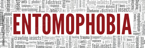 Entomophobia: Fear of Insects word cloud conceptual design isolated on white background.