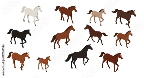 Diverse horse silhouettes in various colors and poses on white background