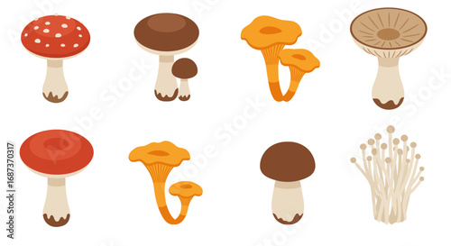 Colorful mushroom set showcasing various species in flat design style