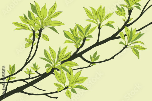 Vector art of branches adorned with vibrant green leaves, symbolizing the beauty of nature, the arrival of spring, and the promise of growth and renewal