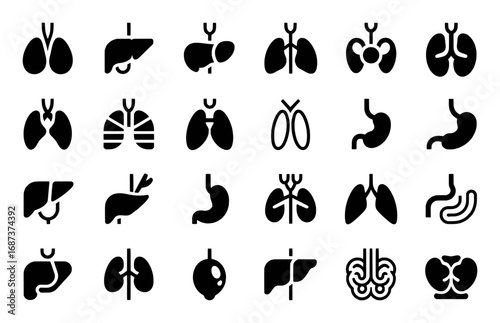 Collection of Human Organ Icons: Lungs, Liver, Stomach, Kidneys, and Brain