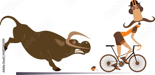 Angry bull chasing a frightened cyclist