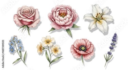 A vibrant assortment of delicate flowers in full bloom, showcasing nature's beauty.