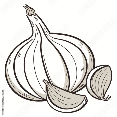 Hand-drawn illustration of a fresh garlic bulb with cloves, a key ingredient for cooking and healthy eating