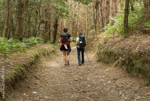 Female hikers walk the Camino de Santiago, crossing the forests of Galicia to reach Santiago de Compostela, Spain.