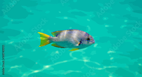 Vibrant Yellowtail Damselfish Glides Through Crystal-Clear Turquoise Ocean Waters