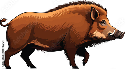 Cute cartoon a illustrator vector wild boar