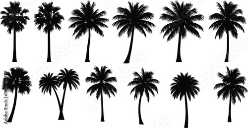Collection of black palm tree silhouettes, tropical tropical forest variety, summer vacation, exotic island nature, vector tropical plants design.