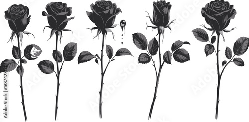 Black and white rose illustration with vintage floral style, perfect for tattoo design, posters, gothic art, prints, and decor.