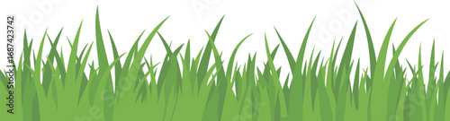 Grass illustration with tall blades, fresh green lawn, nature element, garden background, landscaping texture, outdoor scene, vector graphic isolated