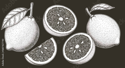 Detailed monochrome illustration of lemons, some whole, some sliced, and a leaf.