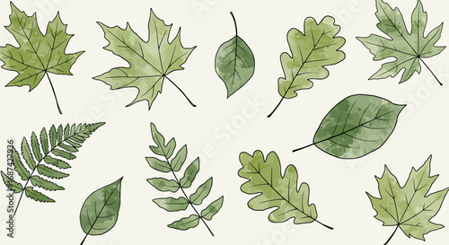 Watercolor illustration of various green leaves, showcasing botanical diversity and natural beauty.