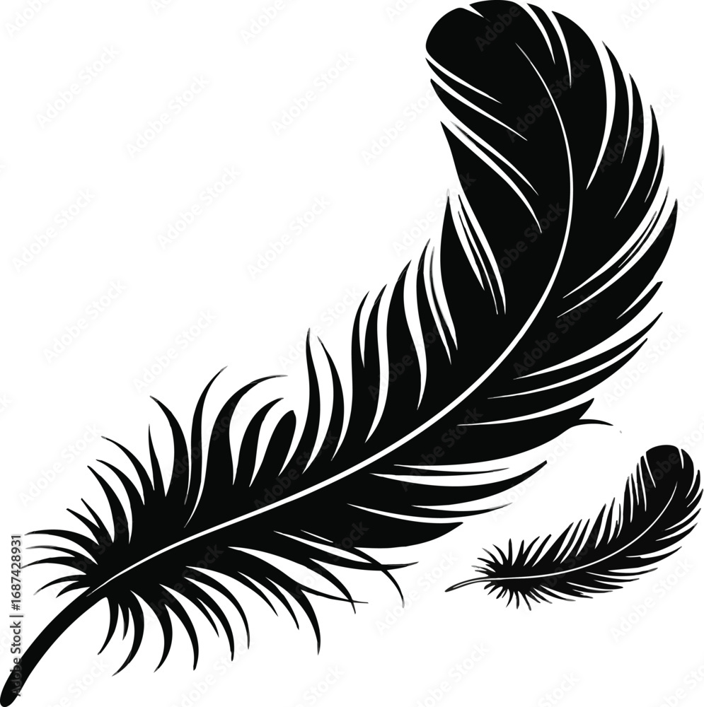 Obraz premium feather vector illustration