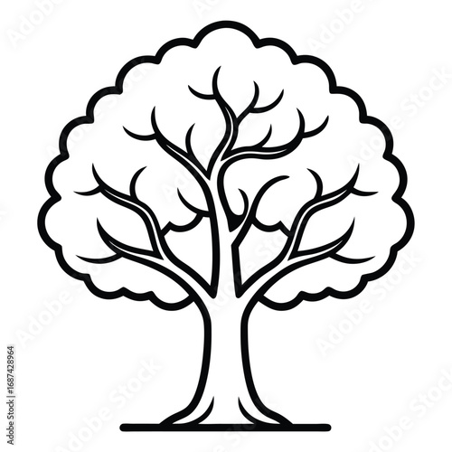 mature deciduous tree outline