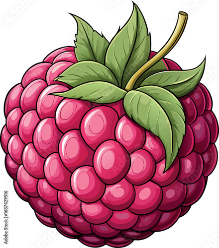 Vector vector art of detailed illustration of a ripe raspberry with multiple drupelets and green leaves, transparent background