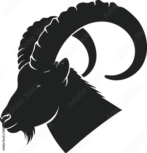 Silhouette of a male ibex head, showcasing large horns and detailed facial features.