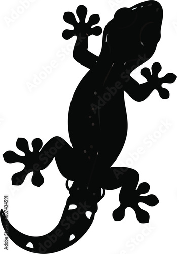 Silhouette of a gecko, showing detailed limbs and body features.