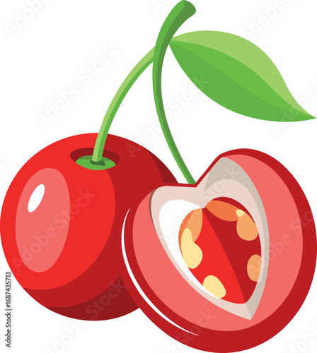 Vector vector art of two cherries, one whole and one halved, transparent background
