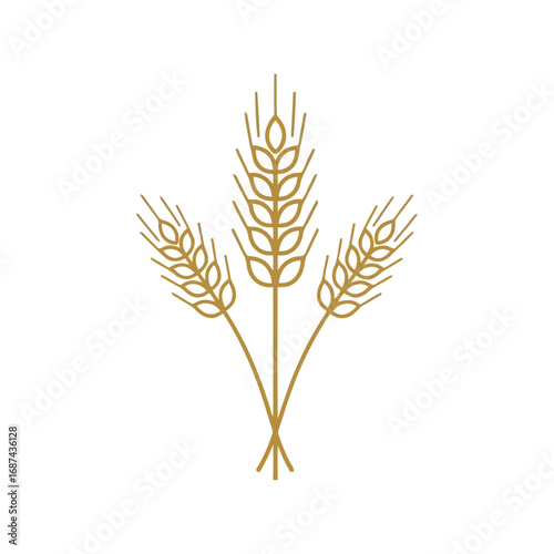 Wheat stalks vector illustration minimalist natural organic agriculture farming grain field harvest vector