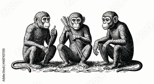 Three monkeys seated together, detailed vintage illustration, thoughtful expressions, holding sticks.