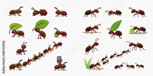 Cartoon ants performing various actions like carrying leaves and food, marching in trails, and standing in different poses.