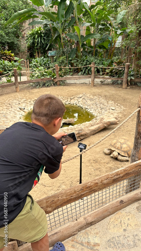 Child photographing tortoise. High quality photo
