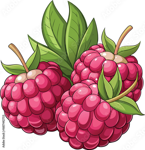 Vector vector art of three ripe raspberries with green leaves transparent background