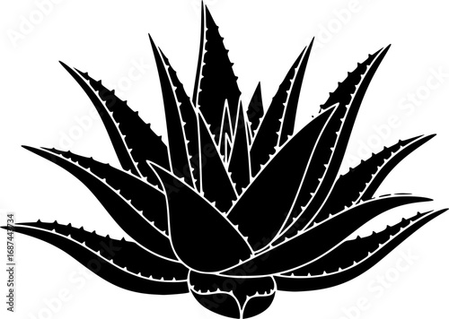 Aloe vera vector icon.Cartoon vector icon isolated on white background aloe vera.