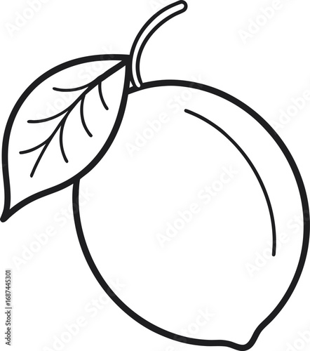 Vector vector art of black and white outline drawing of a lemon with a leaf and stem transparent background