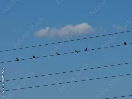 electrical power lines