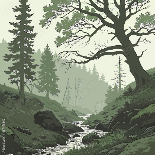 river in the woods