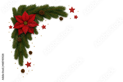 Christmas corner decoration with poinsettia, fir branches, pine cones and red stars on transparent background