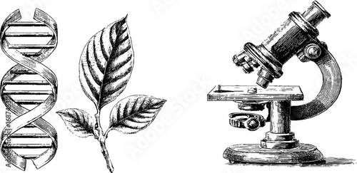 Biotechnology and dna: vintage engraved illustration set with microscope and leaf for design usage